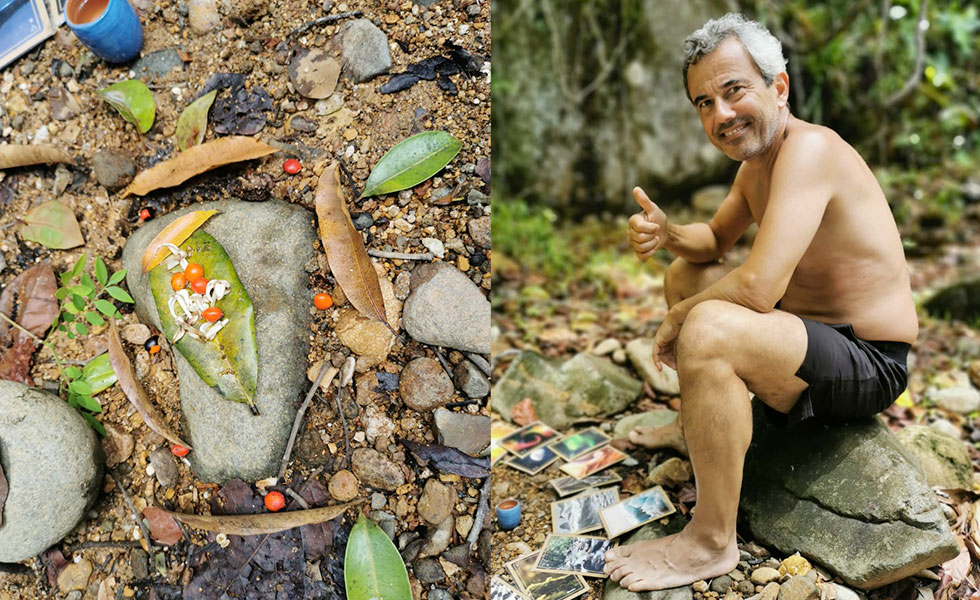 bain de foret Guadeloupe
