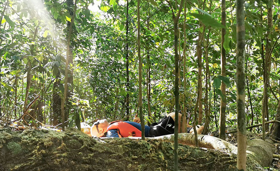 bain de foret Guadeloupe