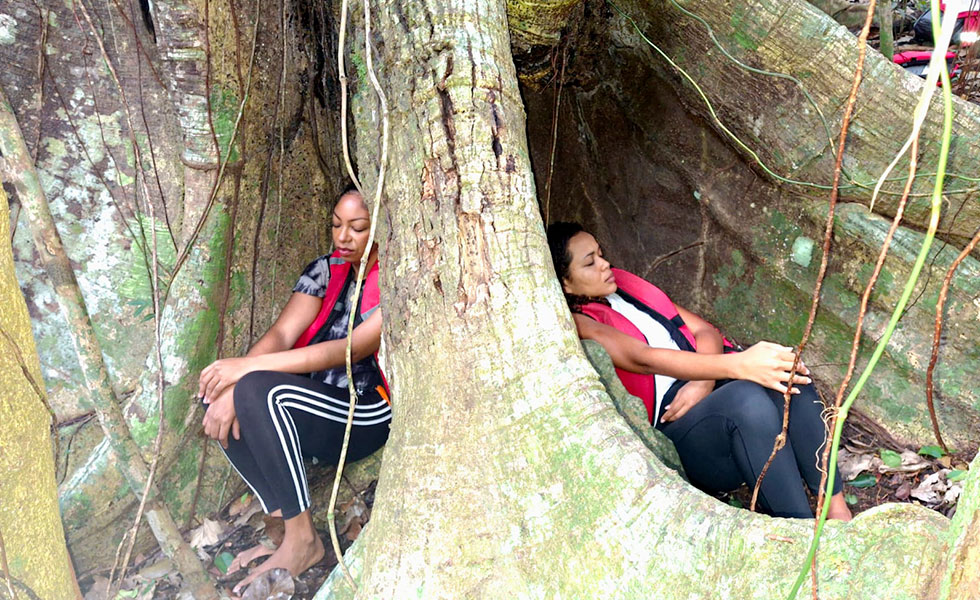 bain de foret Guadeloupe