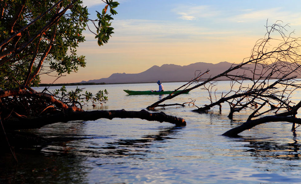 yalode kayak Guadeloupe