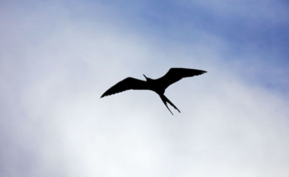 yalode kayak Guadeloupe