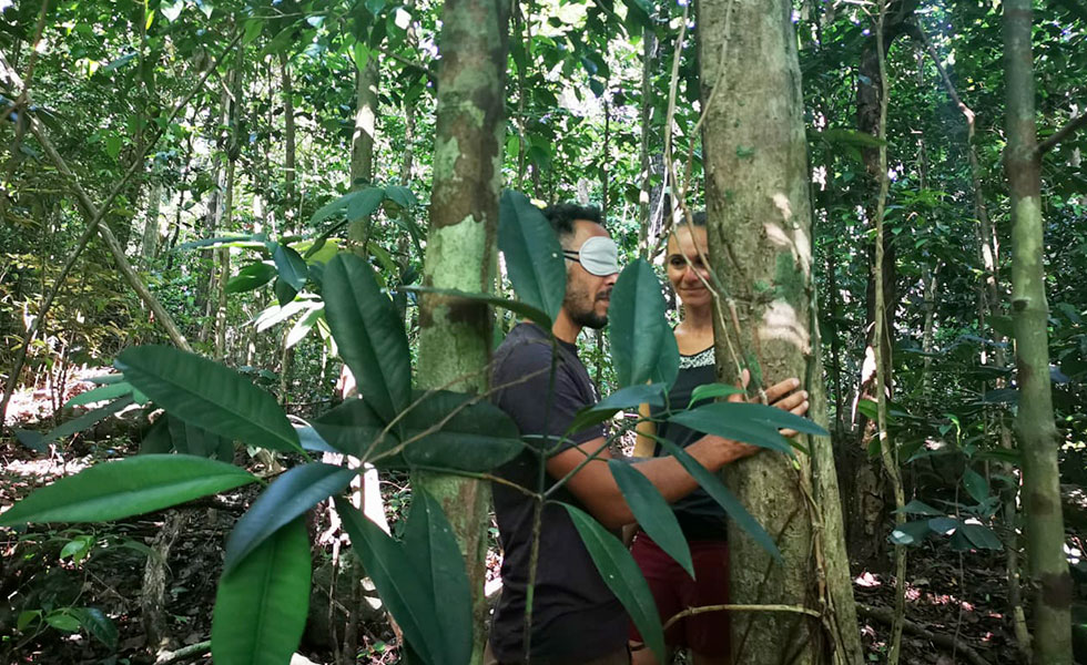 shinrin yoku bain de foret Guadeloupe