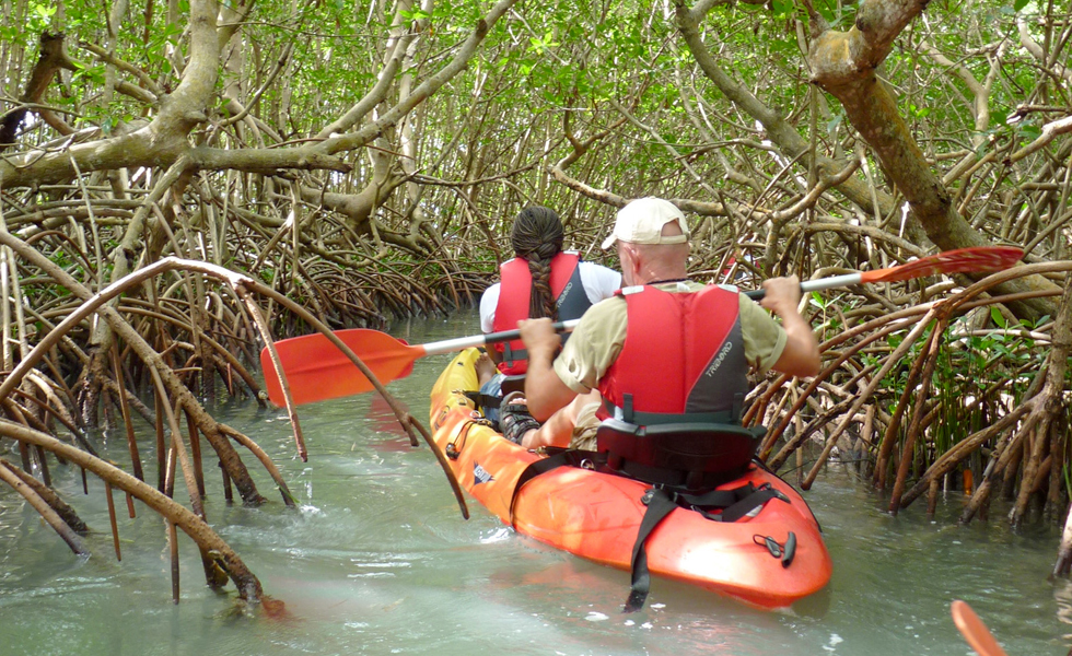canyoning Guadeloupe