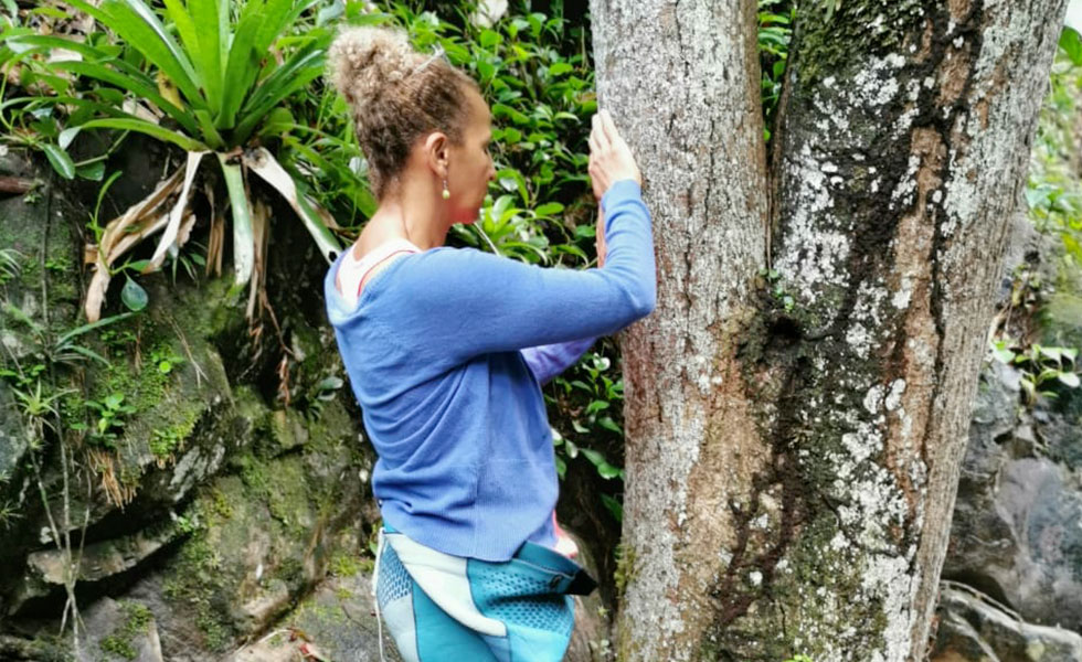 bain de foret Guadeloupe