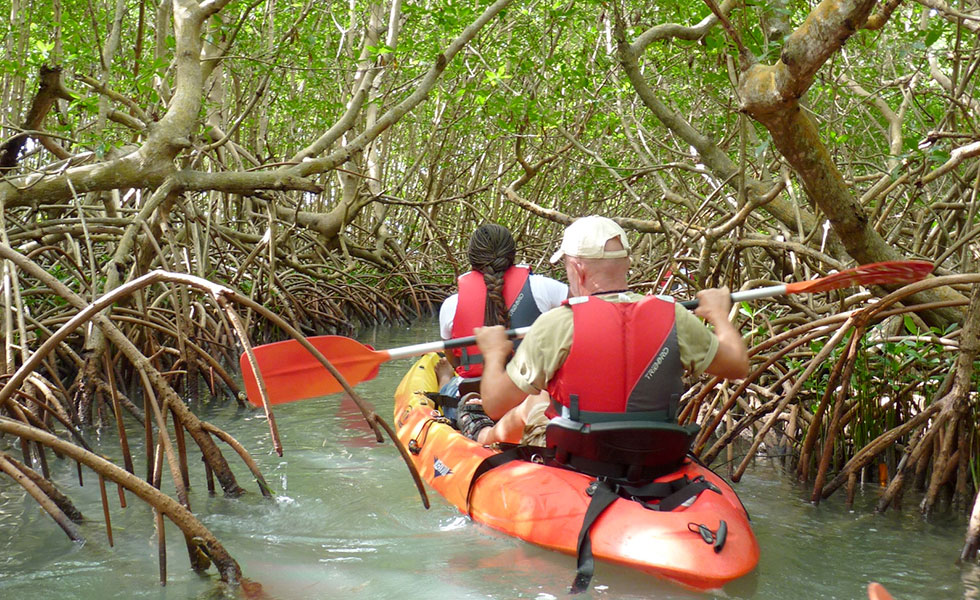 canyoning Guadeloupe