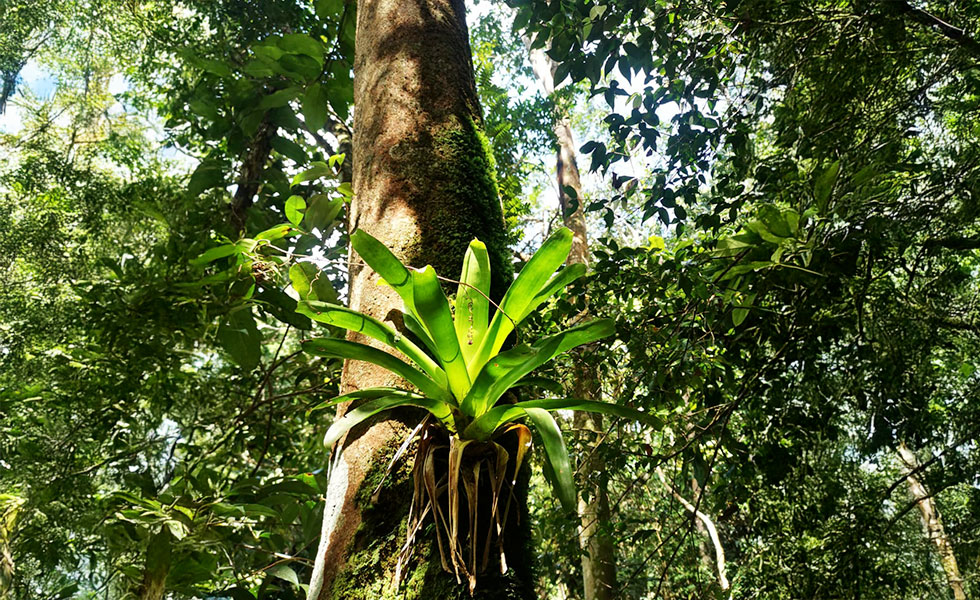 yalode kayak Guadeloupe