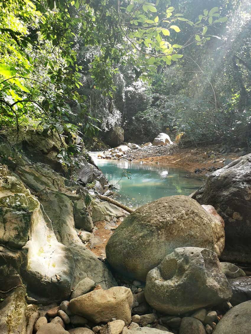 bain de forêt guadeloupe